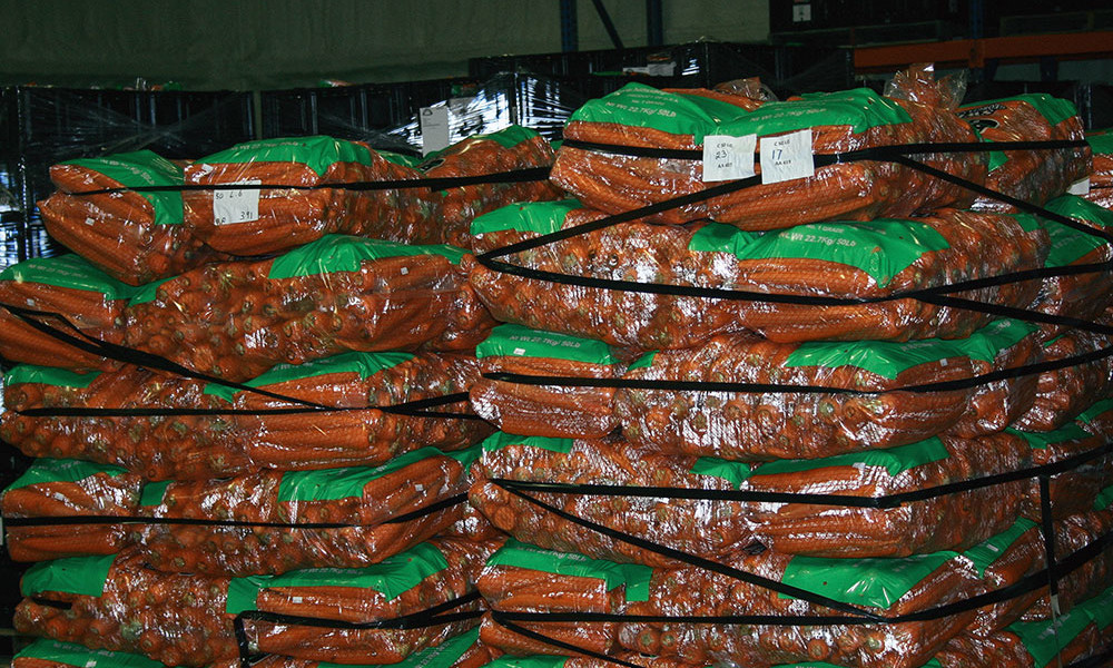 Carrots-ready-for-shipping